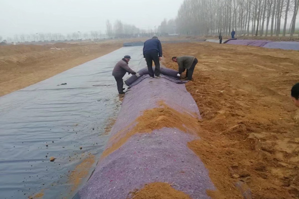 麻豆视频传媒入口在雨季铺设的注意事项