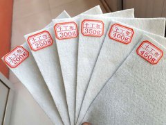 麻豆视频传媒入口价