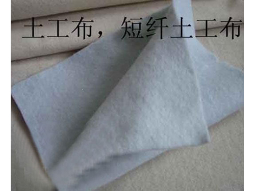 麻豆视频传媒入口